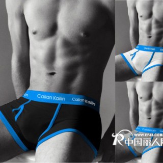供应批发彩兰凯琳内裤 男式内裤 时尚简洁 365蓝根纯棉平角裤/四色裤