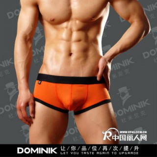 供香港DOMINIK杜米尼克2019低腰平角裤