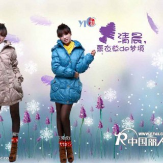 2012正品艾莱依羽绒服批发时尚女款羽绒服批发