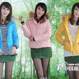 时尚款式靓点羽绒服批发2012新款羽绒服批发