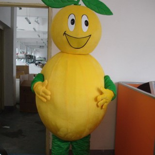 温州道具人偶服装，舞台服装，蔬菜卡通梨子