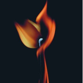 投资创业最佳选择---“香港MOING莫名”时尚品牌女装