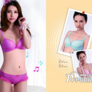 2012艾雪狄丝夏季加盟政策是您无悔的选择