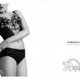 柔漾美体内衣2012火爆招商