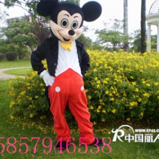 供应江苏卡通服装 天津卡通人偶服装 卡通玩具服装 米奇