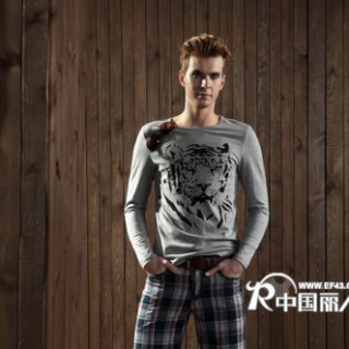 供应虎门富民时尚秋季批发韩版连帽卫衣批发纯棉秋季长袖女装批发