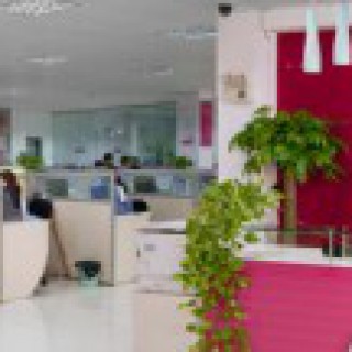 时尚内衣 都市女人心福建空白市场火热招商加盟中