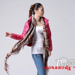 Vionedo 唯一做到  女装品牌羽绒服面向中高档市场招商