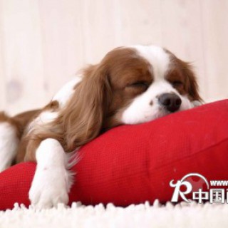 2012女装加盟连锁品牌女装加盟