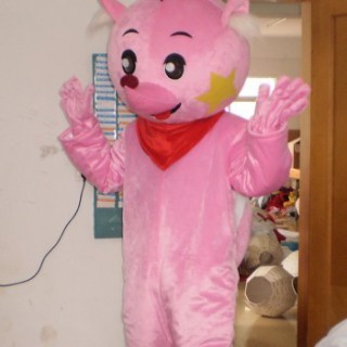 毛绒玩具礼品服装，卡通公仔服饰，道具服装星星狐