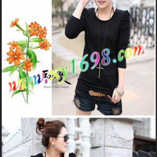 上海春季便宜的女装打底衫批发上海春季新款女装打底衫批发厂家