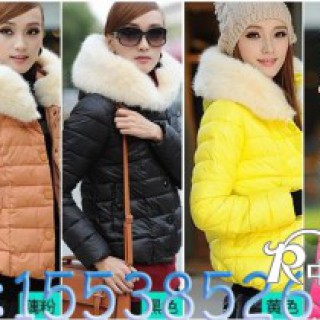 秋冬装羽绒批发棉衣批发2012高档女装批发