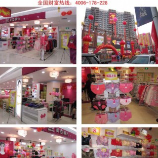 中国市场内衣行业畅销首选品牌