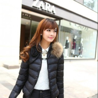 品牌女装新典范 红雨竹