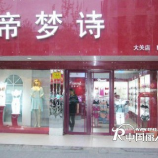 帝梦诗助你推开成功之窗