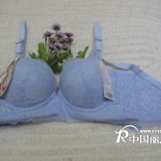 女人的秘密 丽人岛超聚拢调整型文胸 您值得拥有