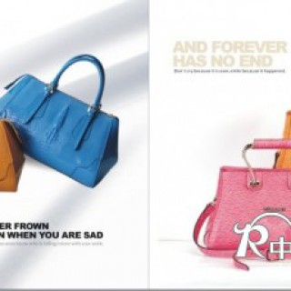 2014盾牌品牌风格