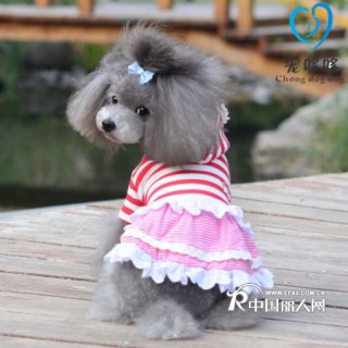 宠物服装批发 狗装批发 代理 代销