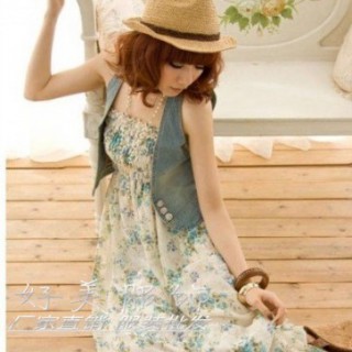 最新上市波西米亚长裙批发2013最便宜雪纺连衣裙批发