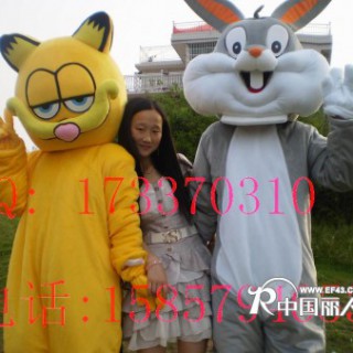 供应福建卡通服装 内蒙古卡通服饰 加菲猫 兔八哥