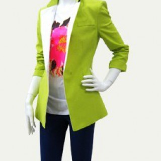 2013欧韩时尚羽绒服火热招商中