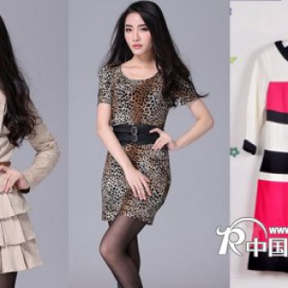 2013年新款 外单秋装连衣裙