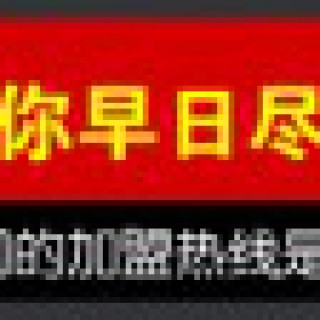 丹缇诗服装山东分公司诚招各地市区代理