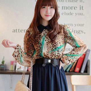 【西子丝典】引领时尚，您生意的好伙伴