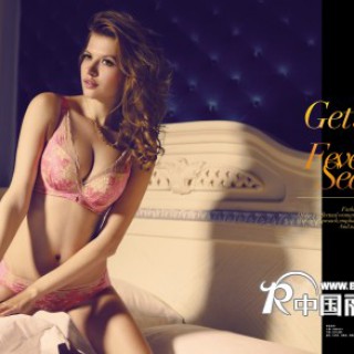 迪芬娜内衣怎么样？