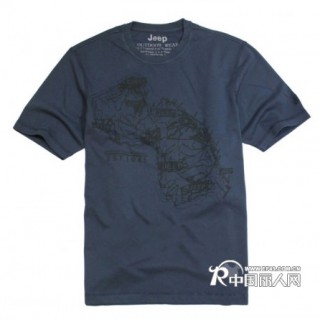 珠三角男装短袖衣服  套装男装 2014 夏装 广州彪码t恤