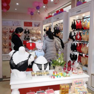 2019加盟内衣品牌有哪些,欧诗雨带你看内衣市场的发展!