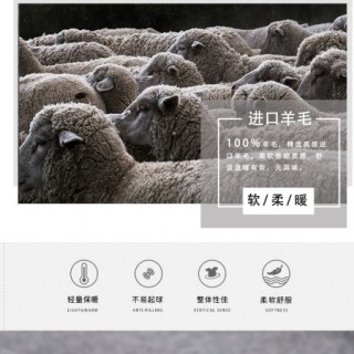 开叉进口羊毛大衣_女装加盟