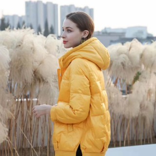 广州华景国际品牌折扣女装 韩版收腰时尚潮流  畅销批发走份