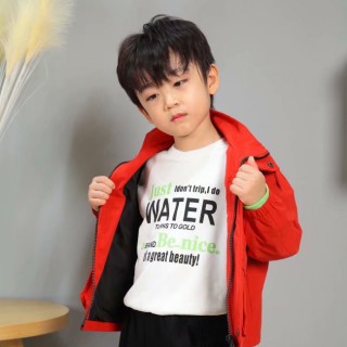 艾宝依童装升级模式