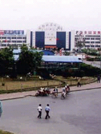 主要的批发类目有哪些