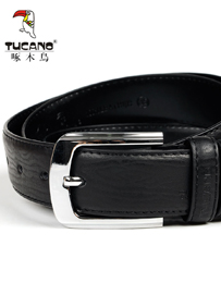 TUCANO （啄木鸟）